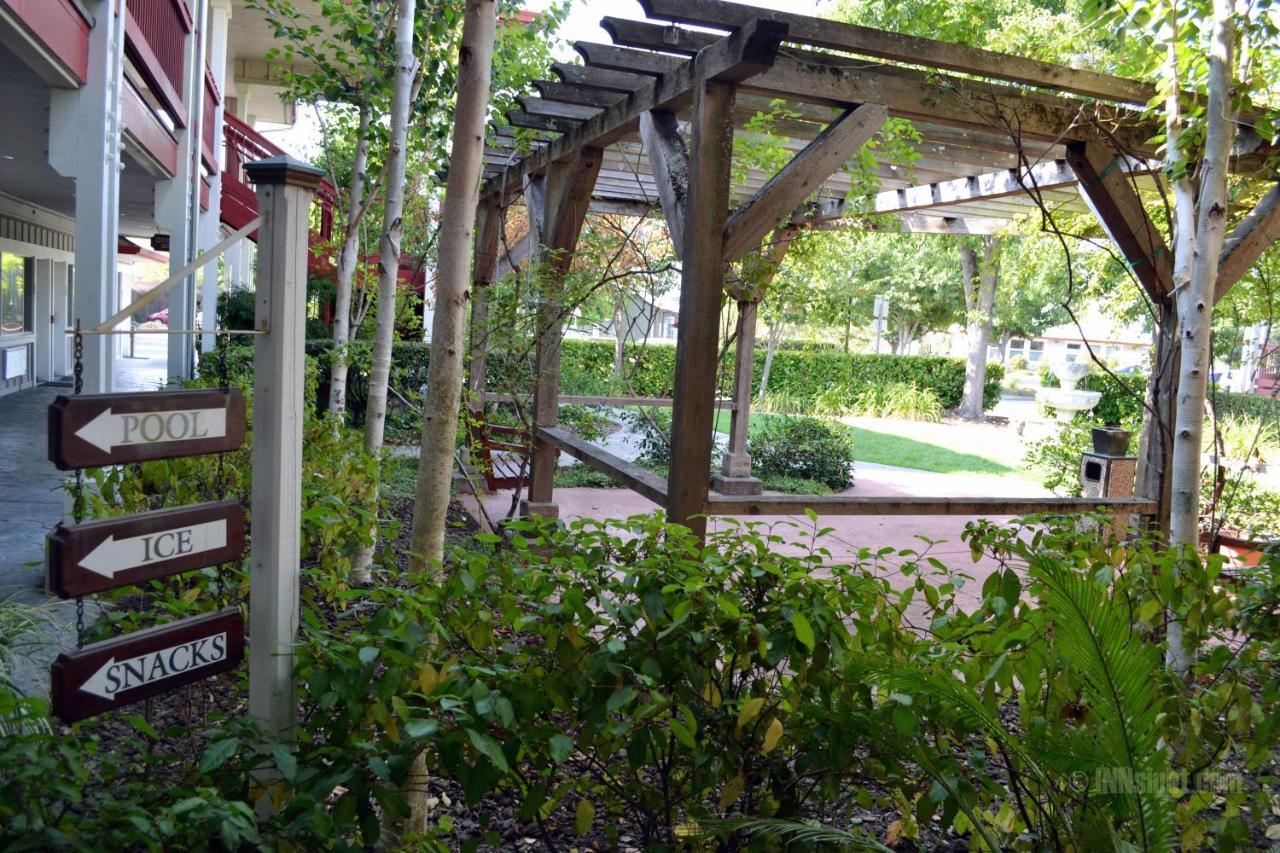 Sebastopol Inn מראה חיצוני תמונה